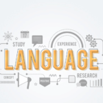 Web Sitesi Çevirisi Nasıl Yapılır